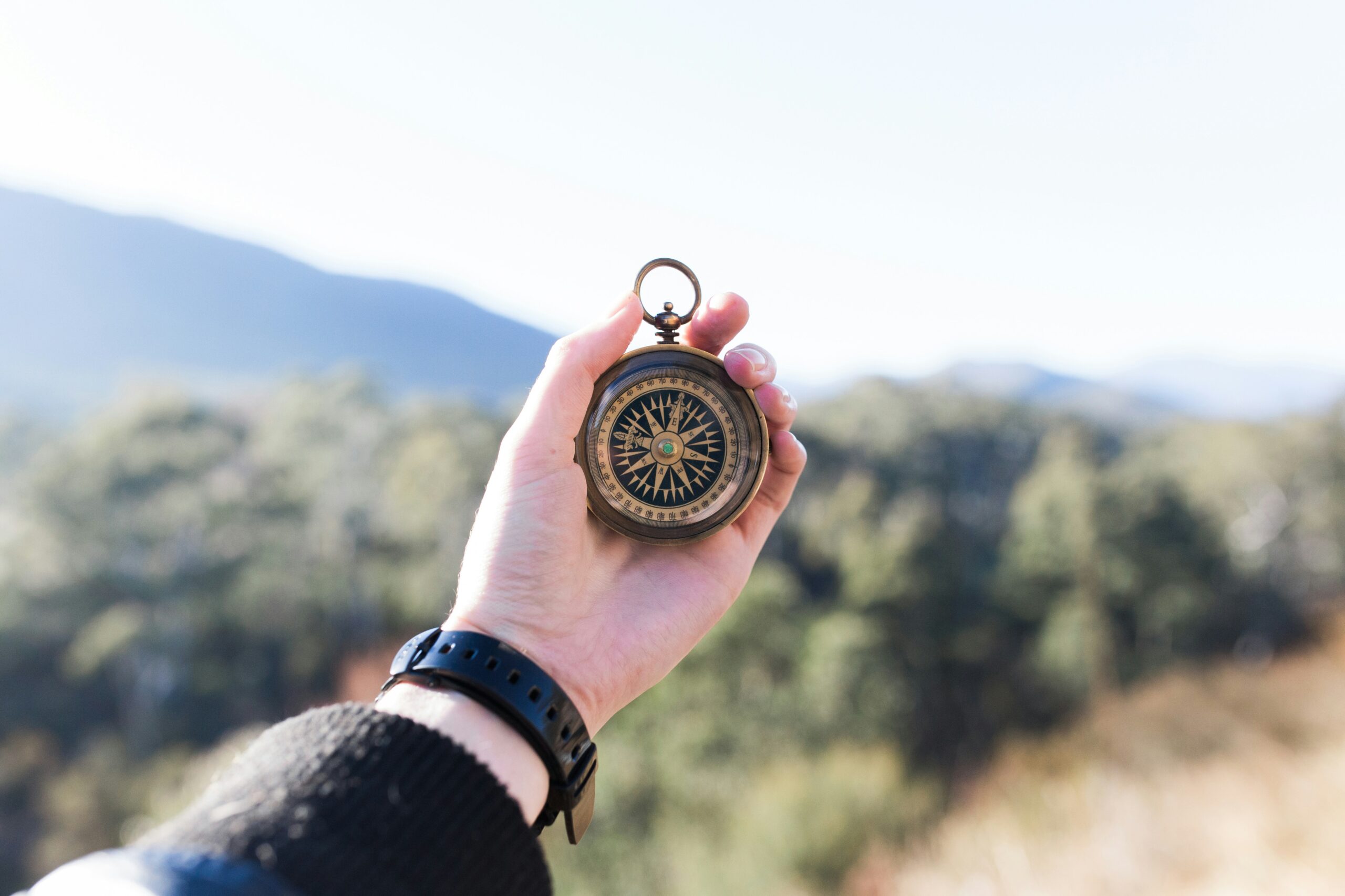 Process Com Model coaching individuel serrage de main